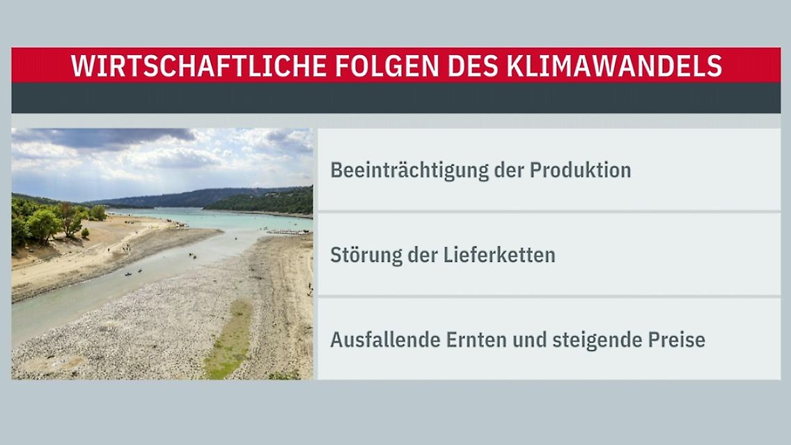 Unbenannt.jpg