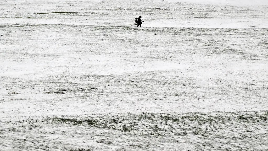 1bffefd3d34caf511f5beb054f646446