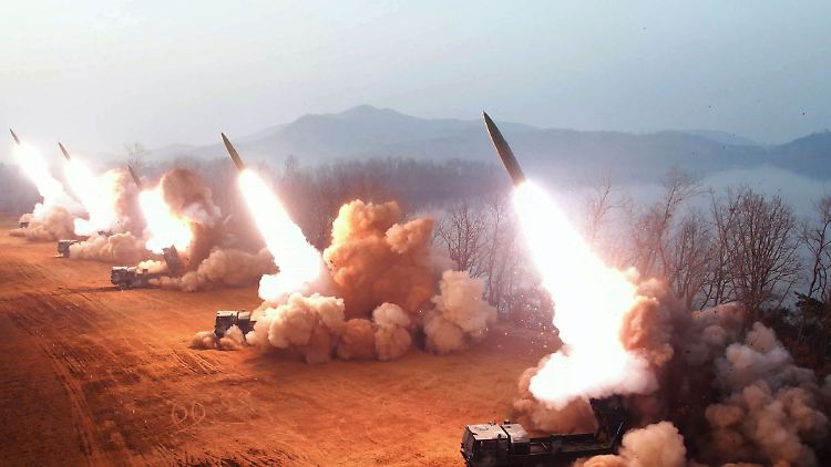 Diese von der staatlichen nordkoreanischen Nachrichtenagentur KCNA zur Verfügung gestellte Aufnahme soll eine Artillerieübung an einem unbekannten  Ort zeigen.
