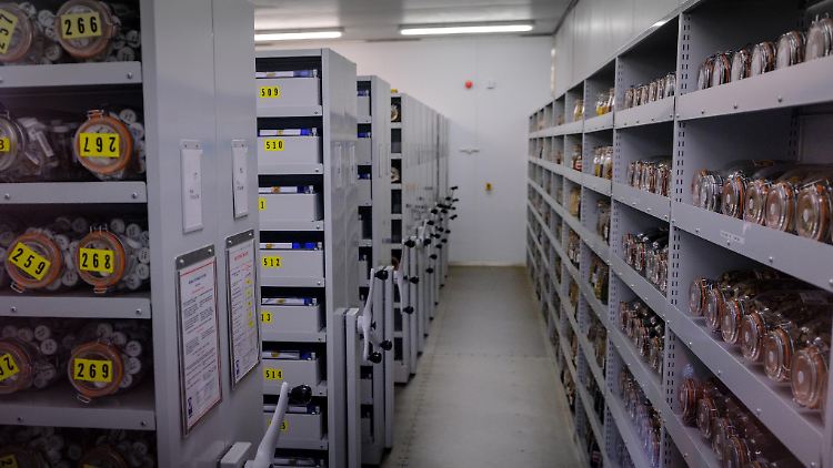 Ein Blick in die Lagerräume der größten Saatgutbank der Welt.