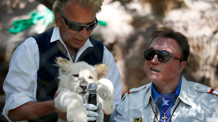 Siegfried und Roy teilten sich das Anwesen.
