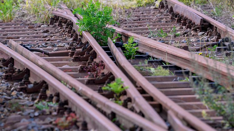 Unkraut zwischen und an Bahngleisen kann zu einem Sicherheitsproblem werden. 