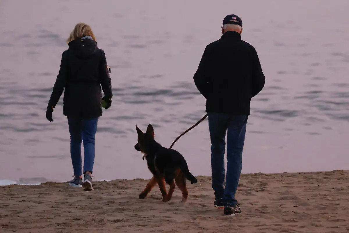 2021-12-28T234906Z-766447562-RC2WNR9DY0NK-RTRMADP-3-USA-BIDEN