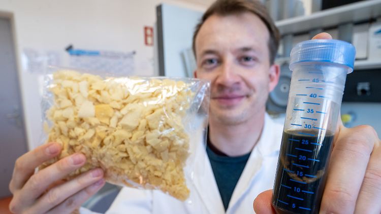 Yannick Branson vom Institut für Biochemie der Universität Greifswald: Im Kampf gegen Plastikabfall setzen Forscher vermehrt auf Enzyme, die manche Kunststoffe quasi verdauen können.