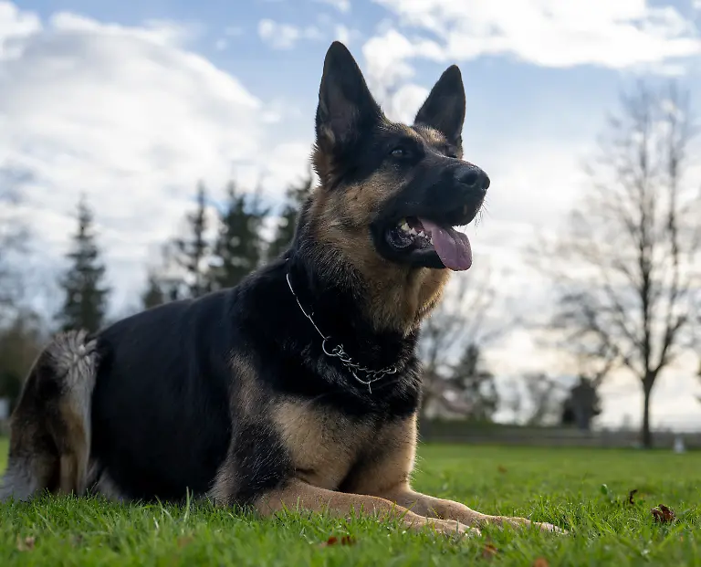 de155e45f1a72fc368e043a472aafc86