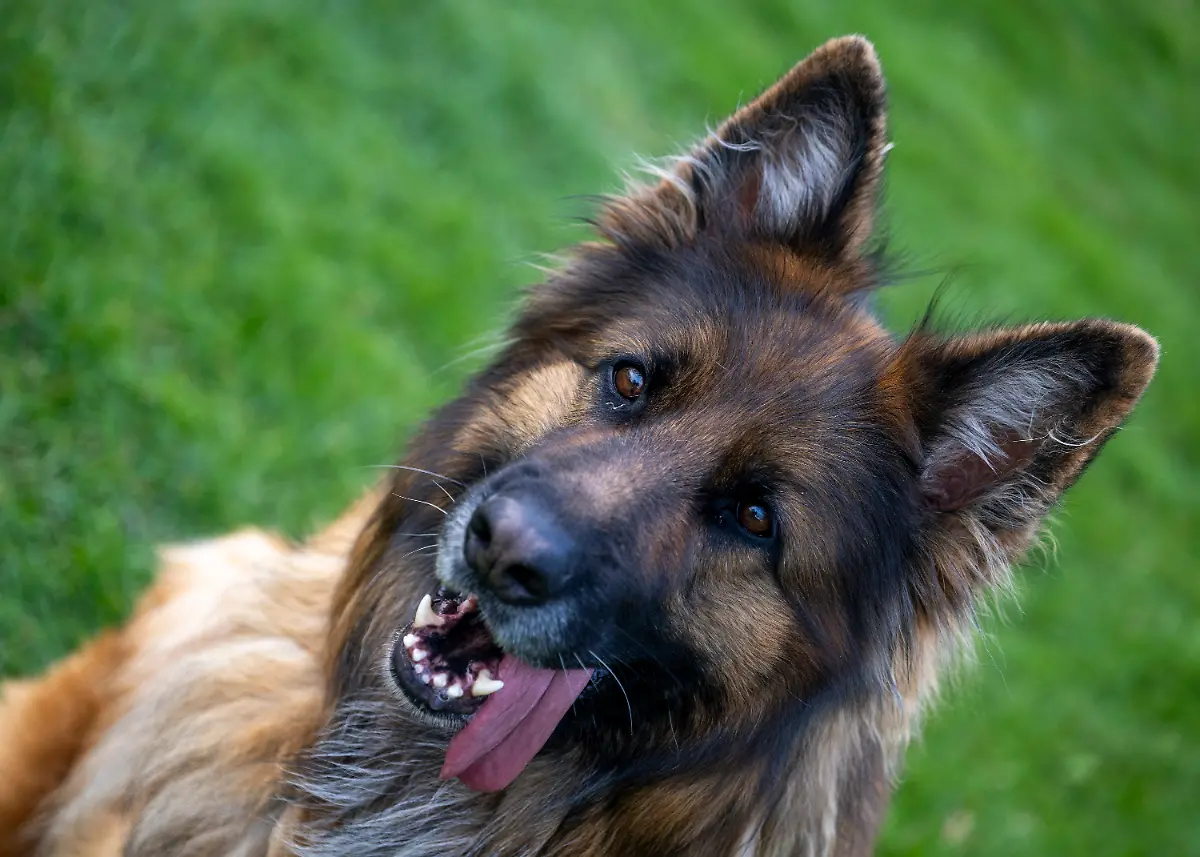 e3a3d5957a5c2560212fce65c0565a3b