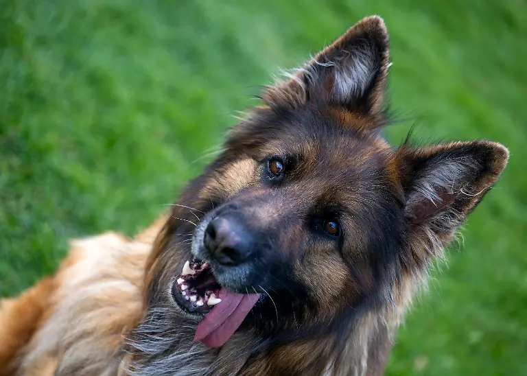 e3a3d5957a5c2560212fce65c0565a3b