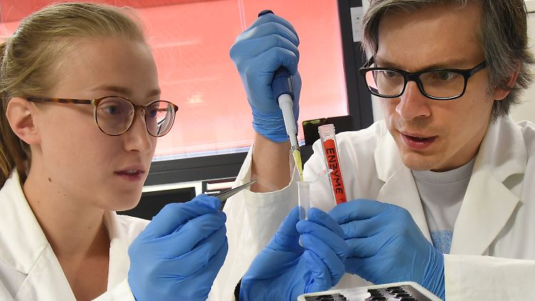 Im Gentechnischen Labor am Institut für Analytische Chemie der Universität Leipzig bereiten Christian Sonnendecker und Doktorandin Patricia Falkenstein einen enzymatischen Abbauversuch von PET-Kunststoff vor.