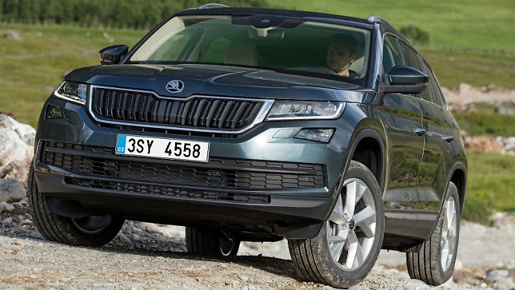 Mit dem Namen Kodiaq nimmt Skoda Bezug auf den Kodiakbären.