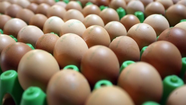  In der vergangenen Woche lag der durchschnittliche Verkaufspreis für ein Paket mit zehn Eiern aus Bodenhaltung in der Größe M bei 2,02 Euro.
