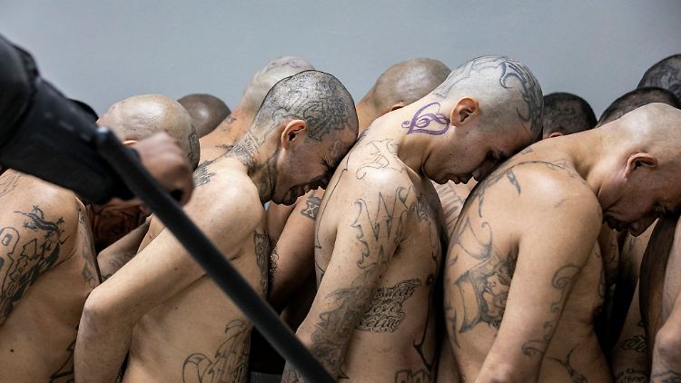 Insassen, die von den Behörden als Bandenmitglieder identifiziert wurden, werden in Tecoluca in das Gefängnis für Terrorismus gebracht. Das Foto wurde von der Pressestelle des Präsidenten von El Salvador zur Verfügung gestellt.