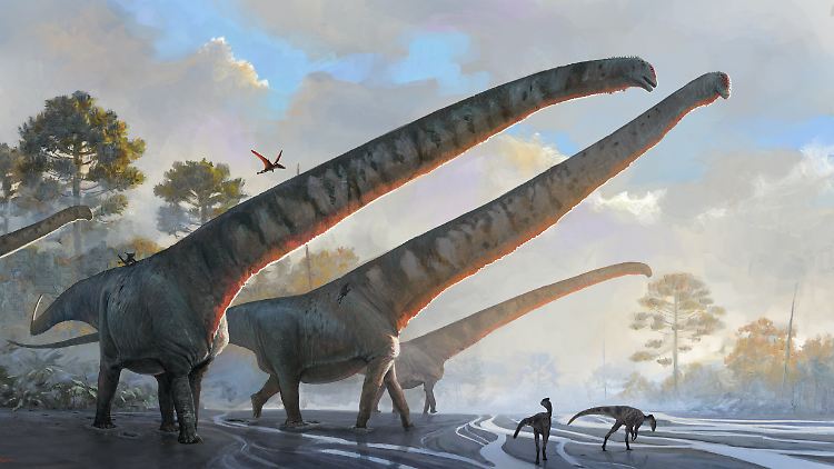 Illustration des Natural History Museums der Saurierart Mamenchisaurus sinocanadorums. Die Tiere lebten vor mehr als 160 Millionen Jahren und gehörten zur Gruppe der Sauropoden.