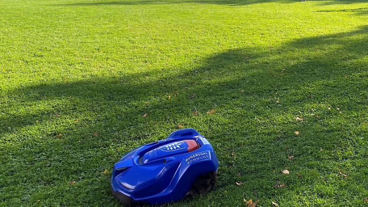 Ein Rasenmähroboter pflegt den Garten fast von allein.