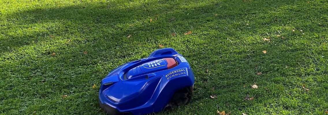 Ein Rasenmähroboter pflegt den Garten fast von allein.