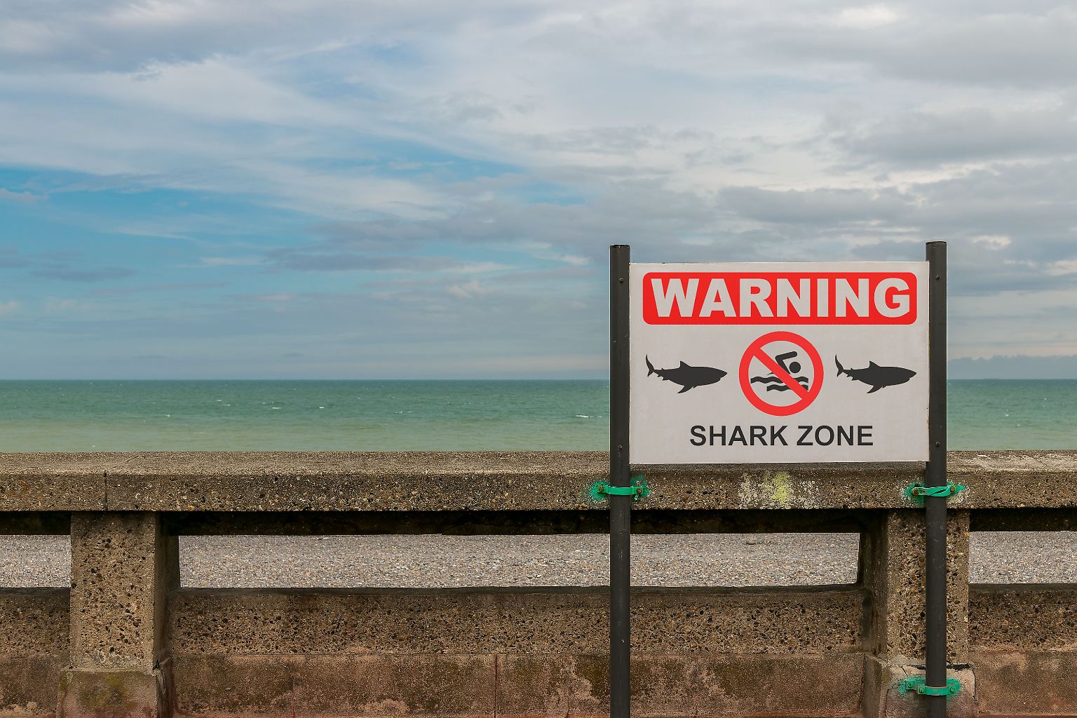 Immer wieder werden in Regionen wie Hawaii und den Küsten Floridas, Australiens und Südafrikas Surfer und Schwimmer von Haien angegriffen.