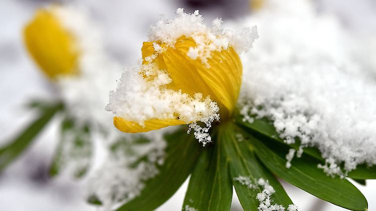 Die Temperaturen erreichen Spitzenwerte von bis zu 20 Grad.