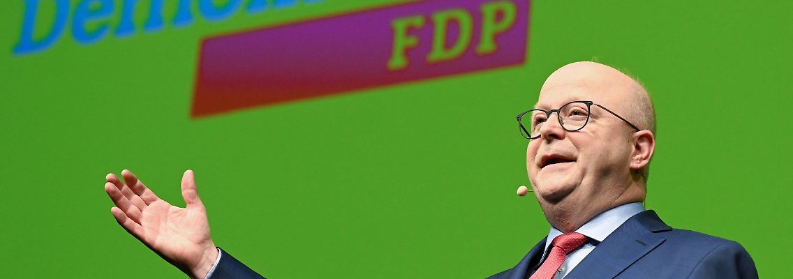 Michael Theurer, Landesvorsitzender der FDP Baden-Württemberg, spricht.