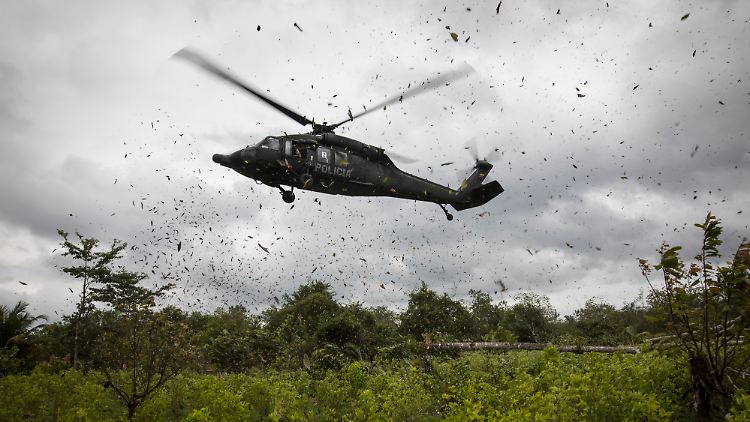 Der Golf-Clan ist eine der mächtigsten Drogenorganisationen Kolumbiens und für einen Großteil des Kokain-Exports verantwortlich.