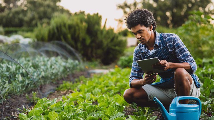 Im smarten Garten muss man nicht mehr mit Gießkanne bewässern.
