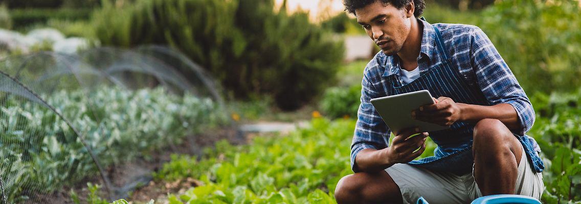 Im smarten Garten muss man nicht mehr mit Gießkanne bewässern.