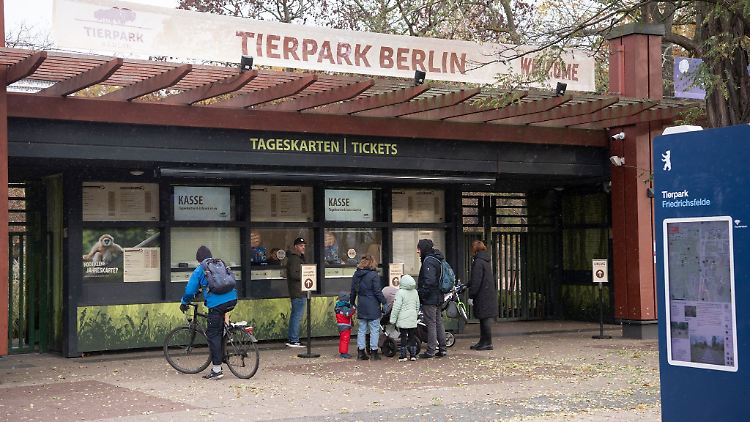 Besucher stehen an den Kassen des Tierparks.