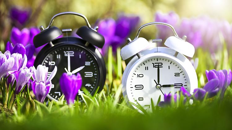 Im Frühling ist es jedesmal soweit: Die Uhren werden eine Stunde vorgestellt.