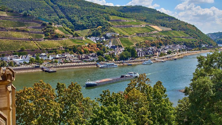 Die beiden großen Weinanbaugebiete Rheinhessen und Pfalz steuerten knapp die Hälfte des gesamten deutschen Weins und Mosts bei.