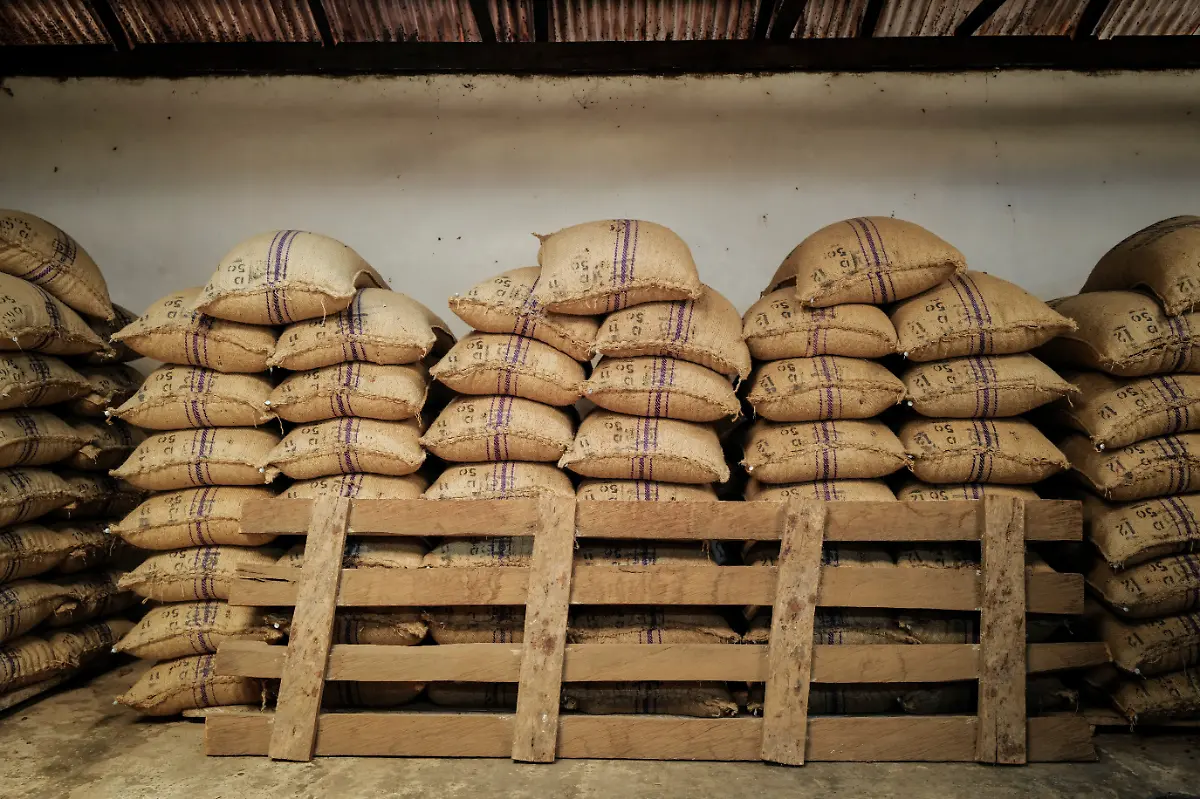 2024-03-28T130307Z-550137980-RC2MB6AEBCV5-RTRMADP-3-WESTAFRICA-COCOA