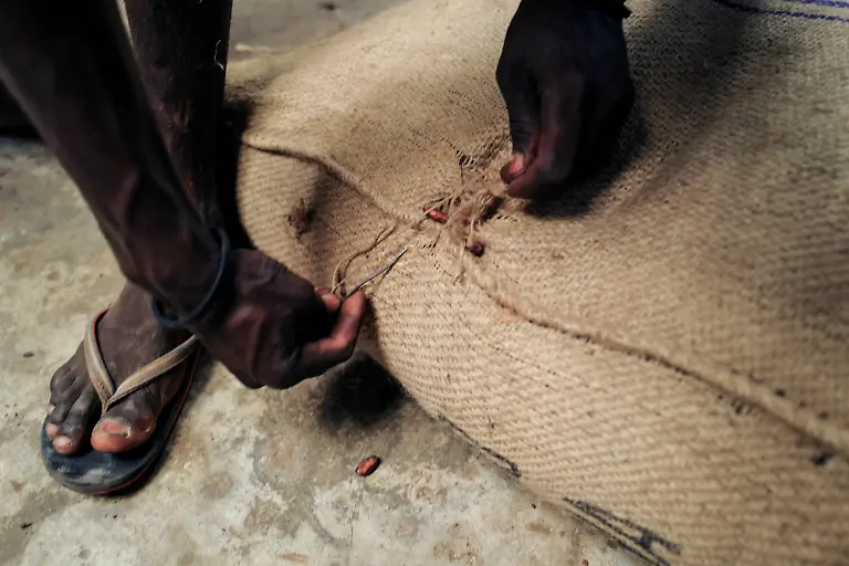 2024-03-28T130300Z-1025262752-RC2MB6AZBCDE-RTRMADP-3-WESTAFRICA-COCOA