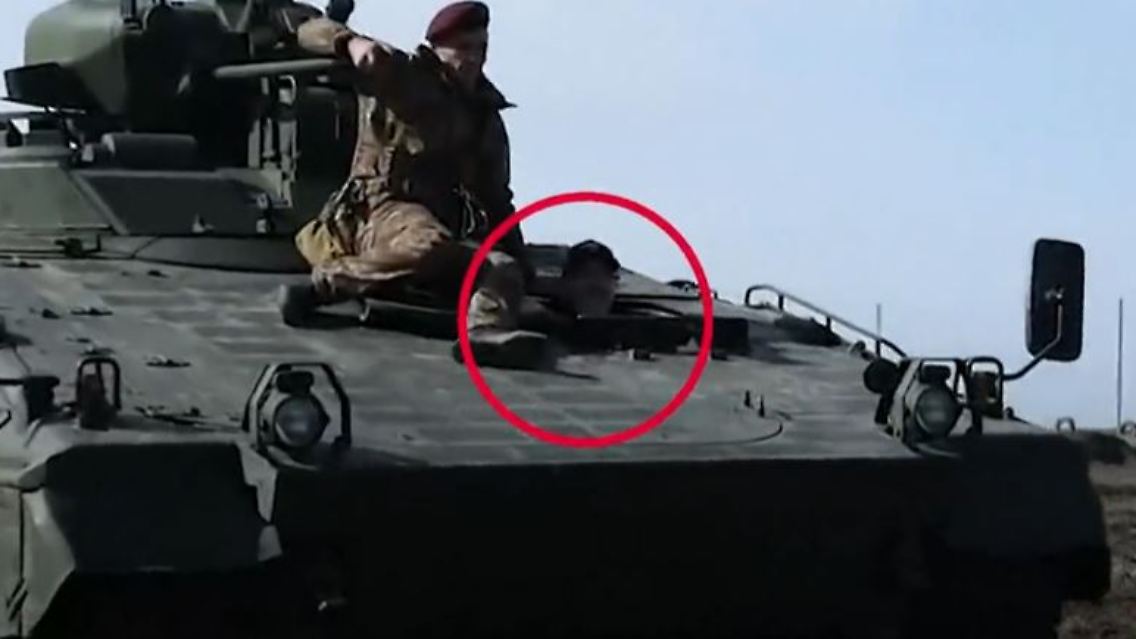marder.JPG