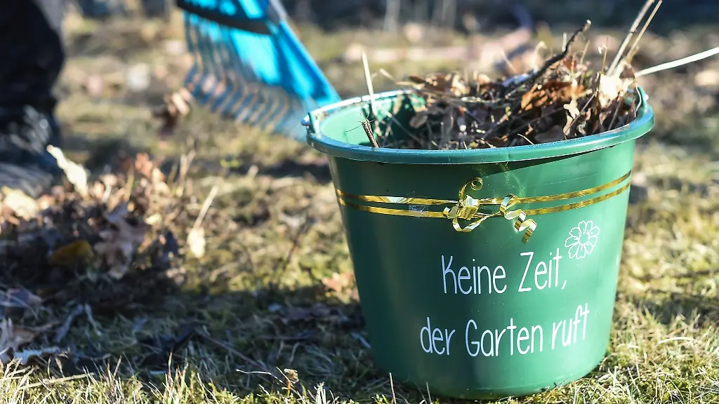 In-einem-Garten-wird-Laub-geharkt-und-ein-Eimer-damit-befuellt