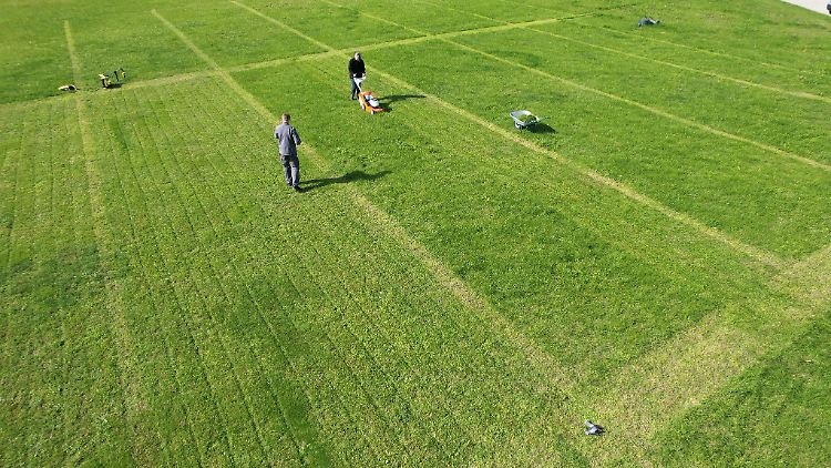 Die Reichweite von Akku-Mähern ist begrenzt. Üblich sind laut Tüv Süd 360 Quadratmeter mit einer Ladung.