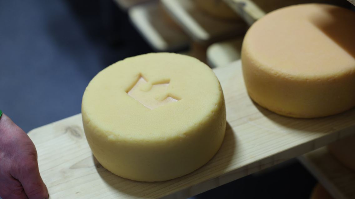 Der "Brodowiner Königskäse" reift acht Wochen lang und wird währenddessen täglich von Hand gepflegt.