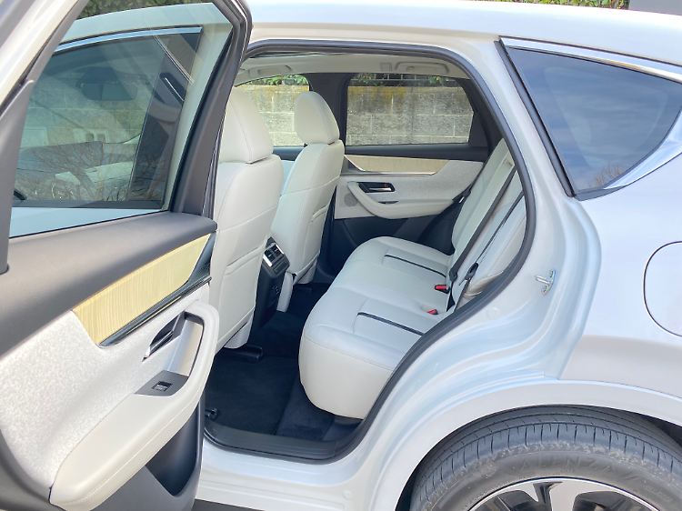 Platz gibt es in diesem SUV zur Genüge.