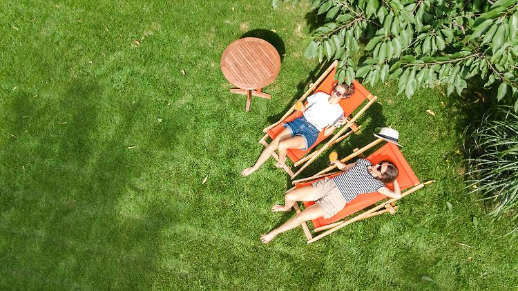 Mit diesen drei Tipps zur Rasenpflege wird der Garten zur grünen Oase. 