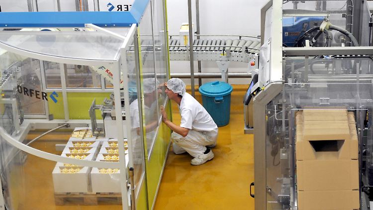 Ein Mitarbeiter der Gläsernen Molkerei beobachtet die Arbeit eines Roboters in der Käsezubereitung.