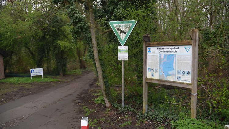 Die Knochen wurden in einem Wald in Kaarst bei Düsseldorf entdeckt. 