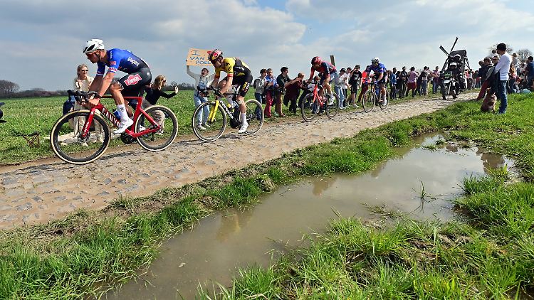 257 Kilometer - davon 54,5 über brutales Kopfsteinpflaster.