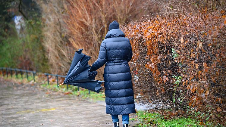 Auch wenn das Wetter nicht so passt, sollte man sich in die Natur begeben. 