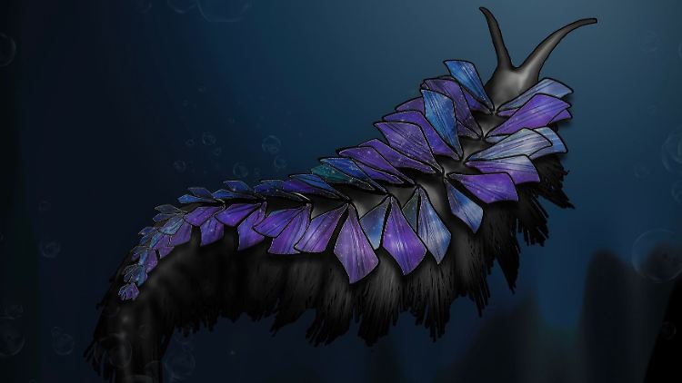 Rekonstruktion einer bislang unbekannten Art eines fossilen Ringelwurms, die ein Forscherteam in etwa 506 Millionen Jahre alten Gesteinen in den USA entdeckt hat.