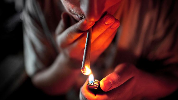 Unter den jungen Erwachsenen in Deutschland hat rund die Hälfte bereits einmal Cannabis konsumiert - Tendenz steigend.