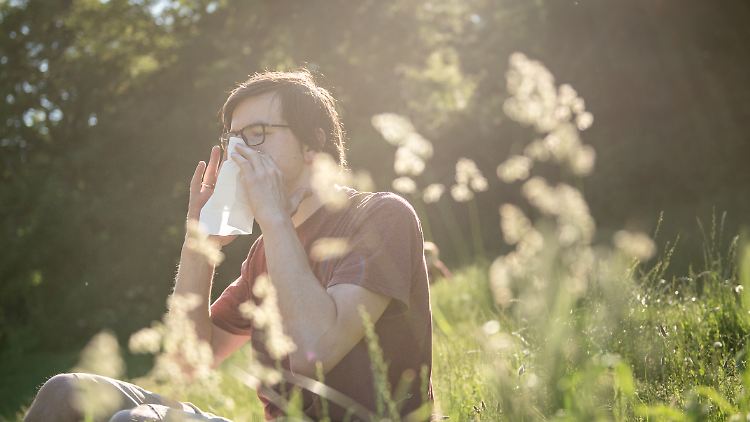 Für viele Allergiker wird der Alltag ohne Allergiemedikamente zur Tortur.