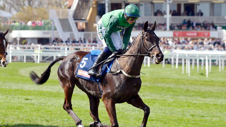 Dark Raven (mit Jockey Paul Townend) kam in Aintree zu Tode.