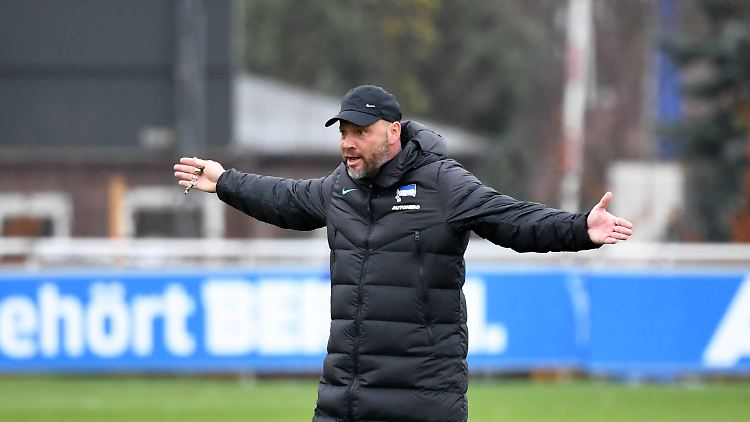Pal Dardai soll es bei Hertha BSC wieder richten.