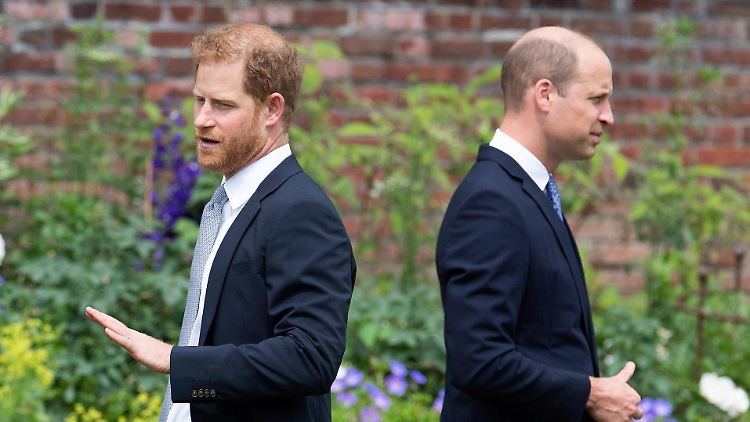 Sollen nicht mal an einer Gedenkveranstaltung für ihre Mutter gemeinsam teilnehmen: Prinz Harry (l.) und Prinz William.