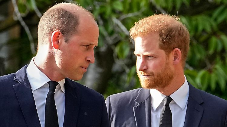 Können sie sich jemals wieder in die Augen sehen? Prinz William (l.) und Prinz Harry.