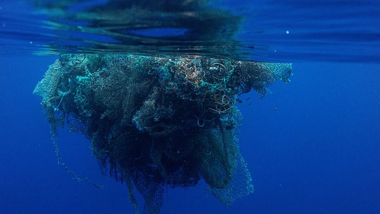 Immer öfter bilden sich in den Weltmeeren regelrechte Müllinseln. Vor Kalifornien haben sich dort bereits Tiere angesiedelt. 