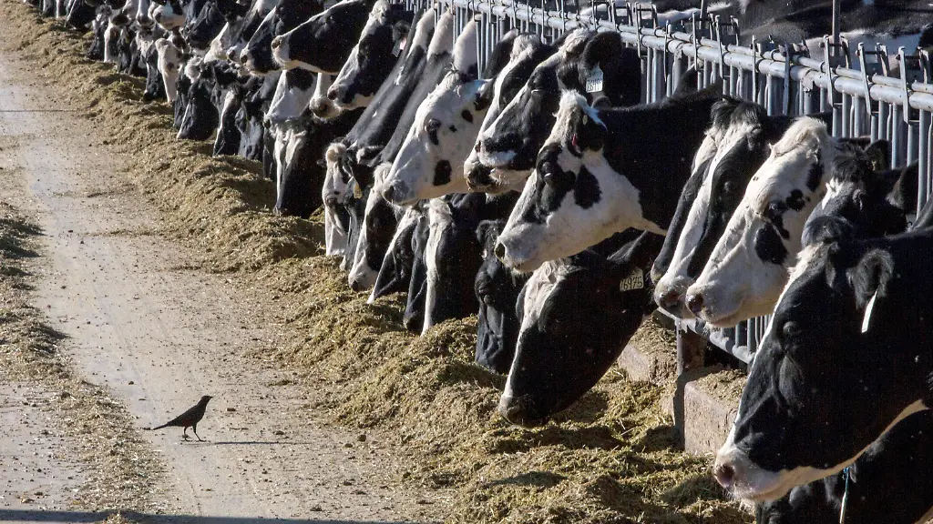 epi-218539910-DPA-AP-dpa-32B0F2005A501BAA-jpg-dpa-32B0F2005A501BAA