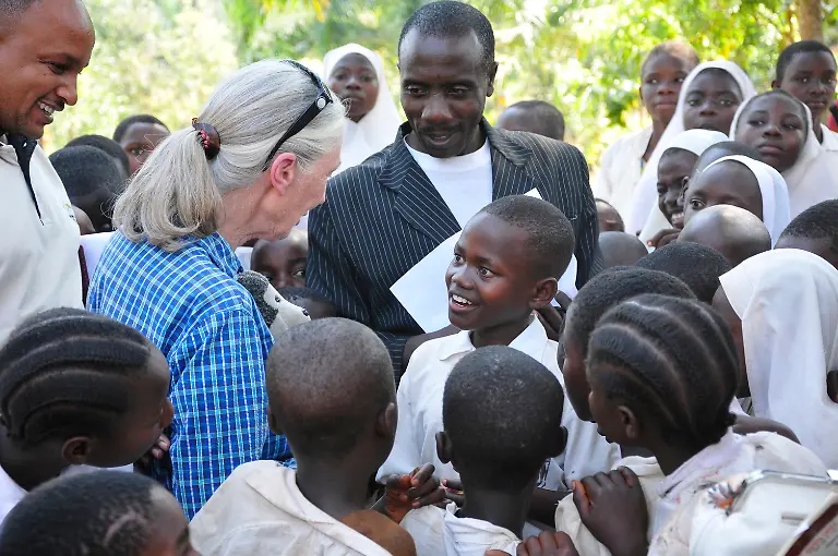 04c48393e31310be4439529e3994cae1