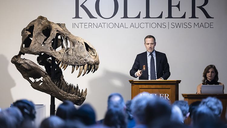 "Zum Ersten, zum Zweiten, zum Dritten, verkauft". T-Rex "Trinity" wurde für 5,6 Millionen Euro versteigert. 